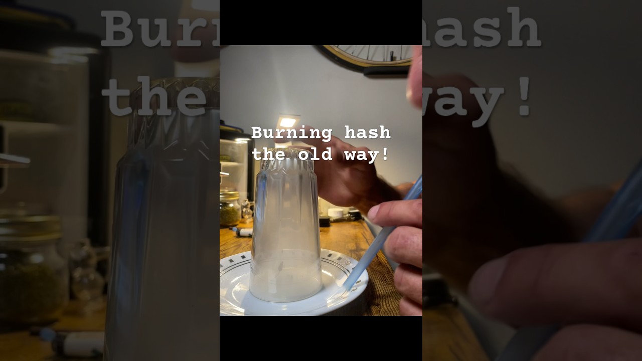 Burning Moroccan hash the old school way! #420community #710 #asmr #cowboycannabis