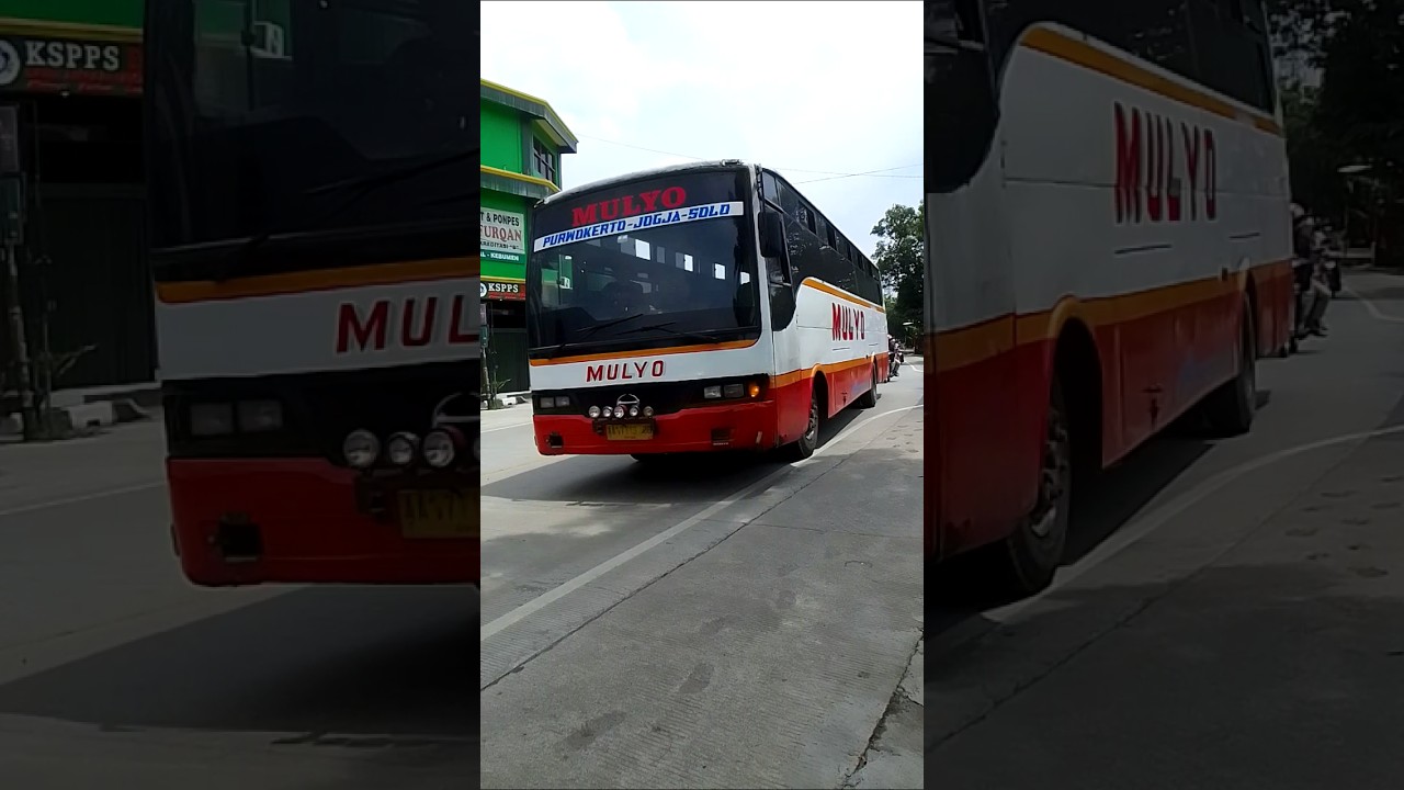 Bus Mulyo, Bus Bumel Legendaris di Jalur Jogja - Purwokerto #shorts