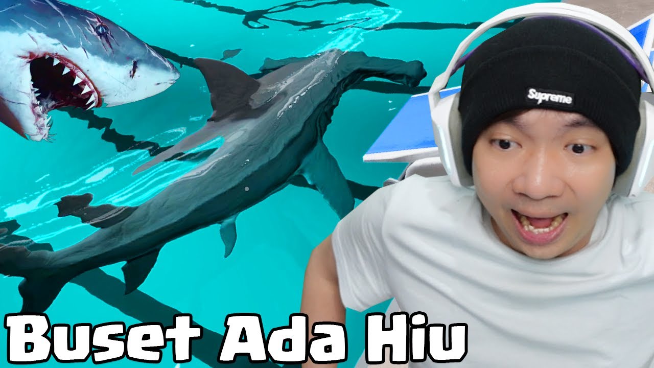 Buset Ada Ikan Hiu Di Kolam - Sharks And Minnows Indonesia
