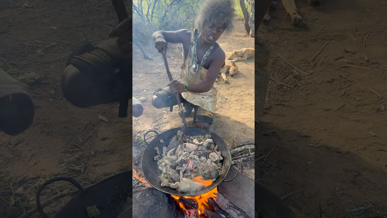 Bush meal cooking