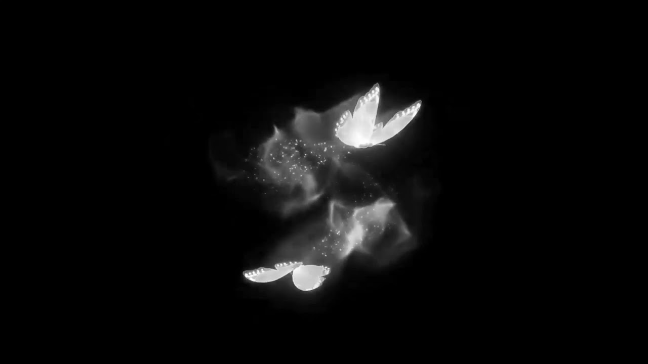 🥀butterfly black screen status🥀 From ATS CREATION ❤️