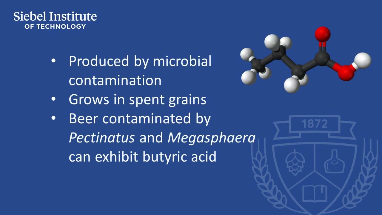 Butyric Acid - Beer sensory characteristics, causes and control factors