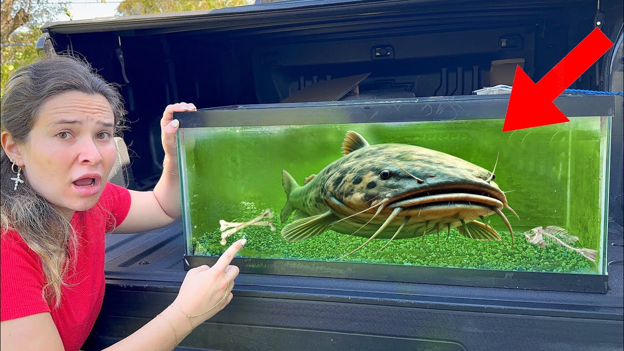 BUYING ABANDONED TANK WITH LIVE FISH!