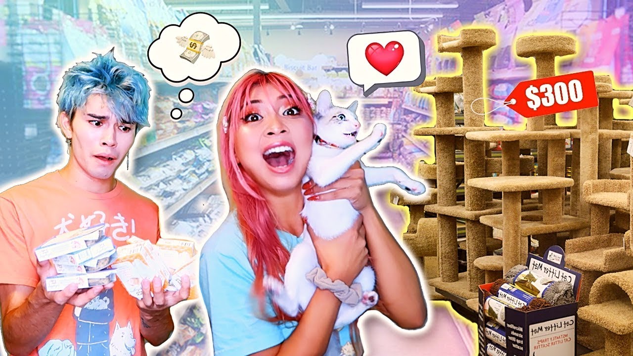 Buying ANYTHING Our CAT TOUCHES | Our Fire