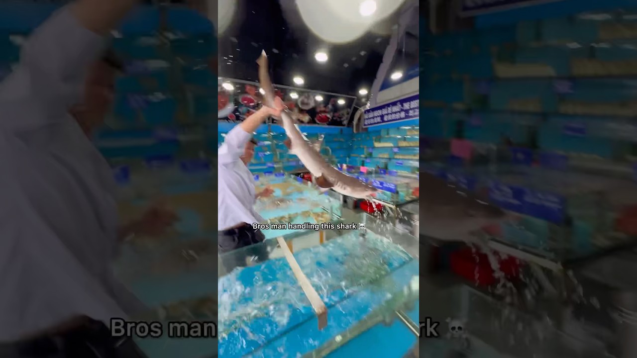 Buying MASSIVE Shark