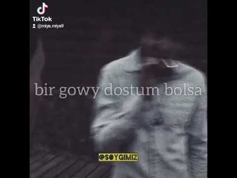 byr govy dostum bolsa