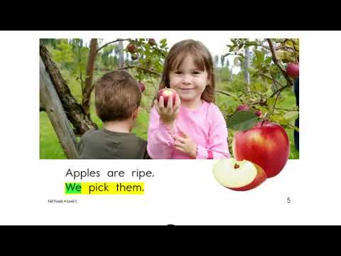 C Fall Foods