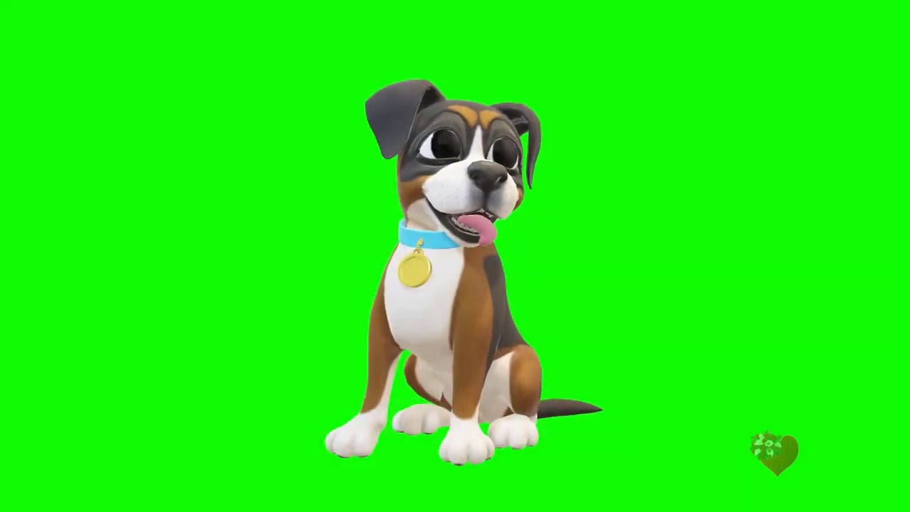 Cachorrinho em chroma key ,download gratuito.