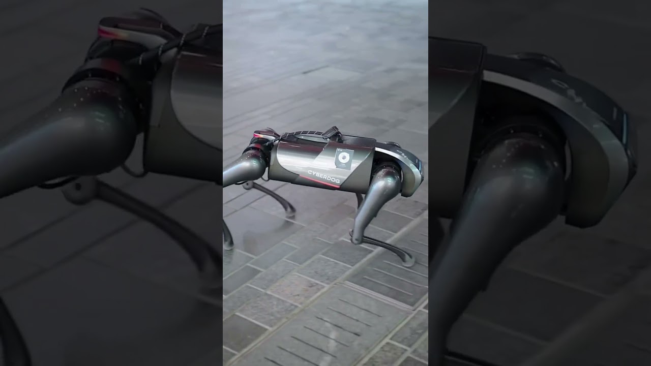 Cachorro Robô inteligente