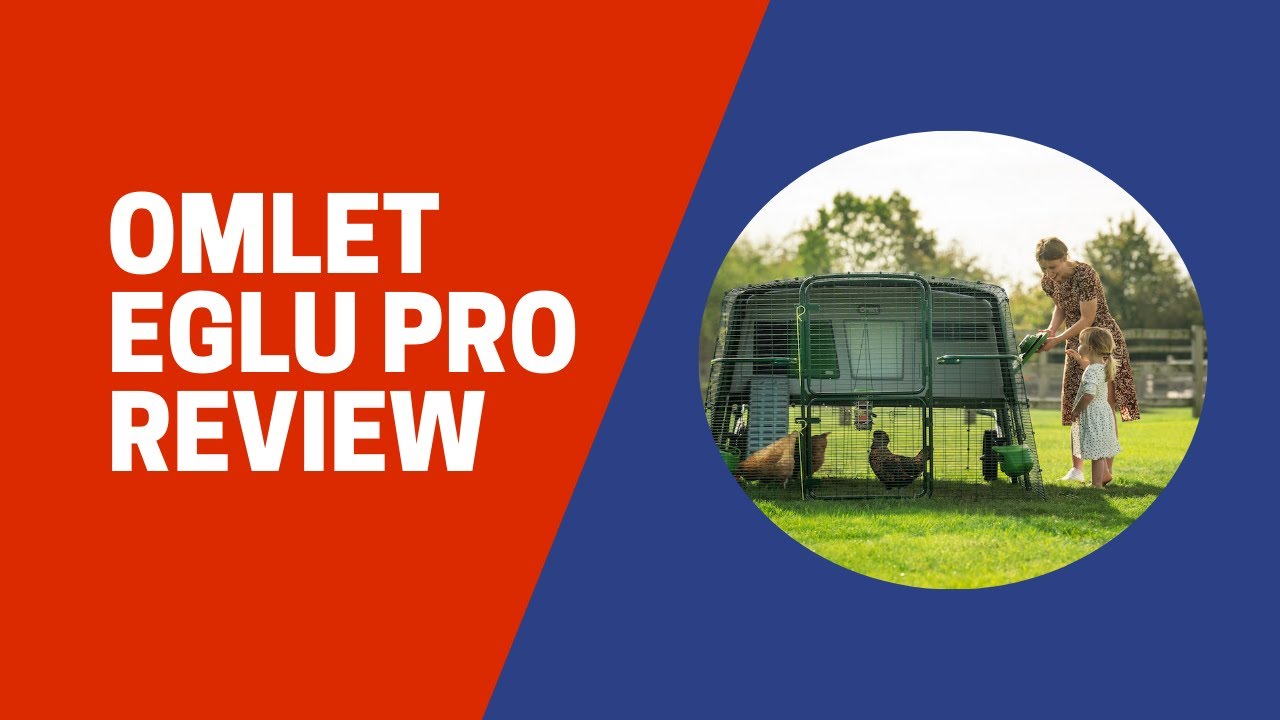 Cackle Hatchery Omlet Eglu Pro Review