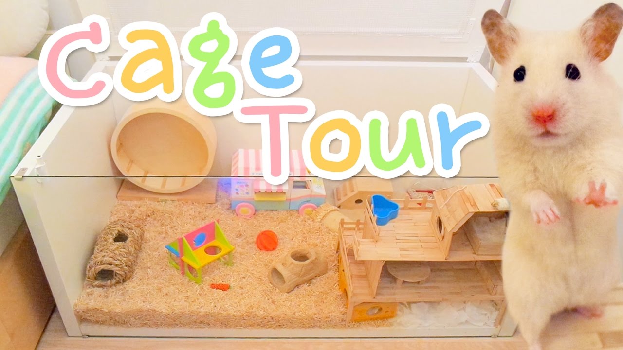 Cage Tour 🌈 Vanilla's new home!