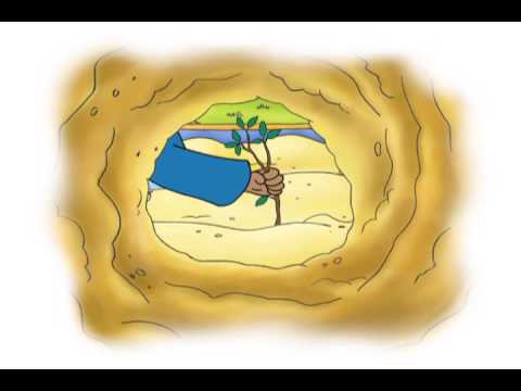 Caillou - Caillou the Road Builder | Caillou's Building Adventure | A House in the Sky (S04E03)