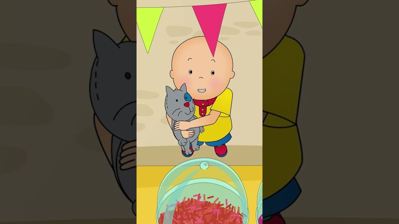 Caillou Gets Lost
