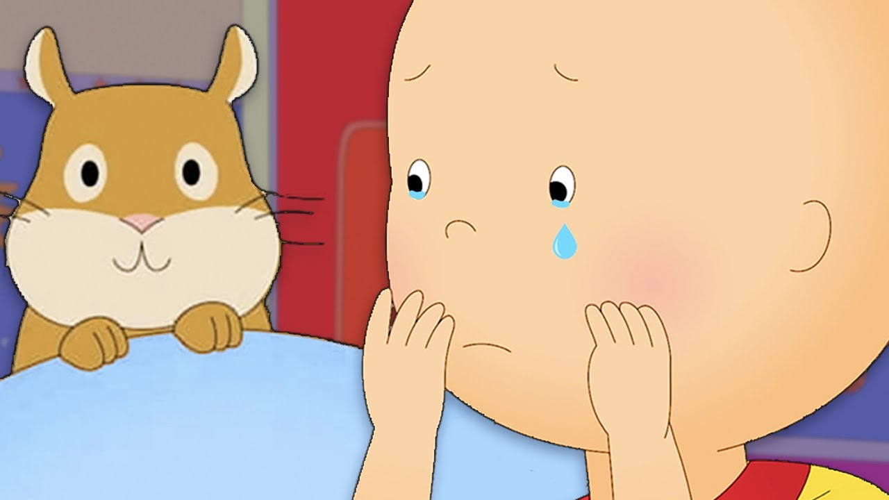 Caillou Loses a Friend | Caillou Cartoon