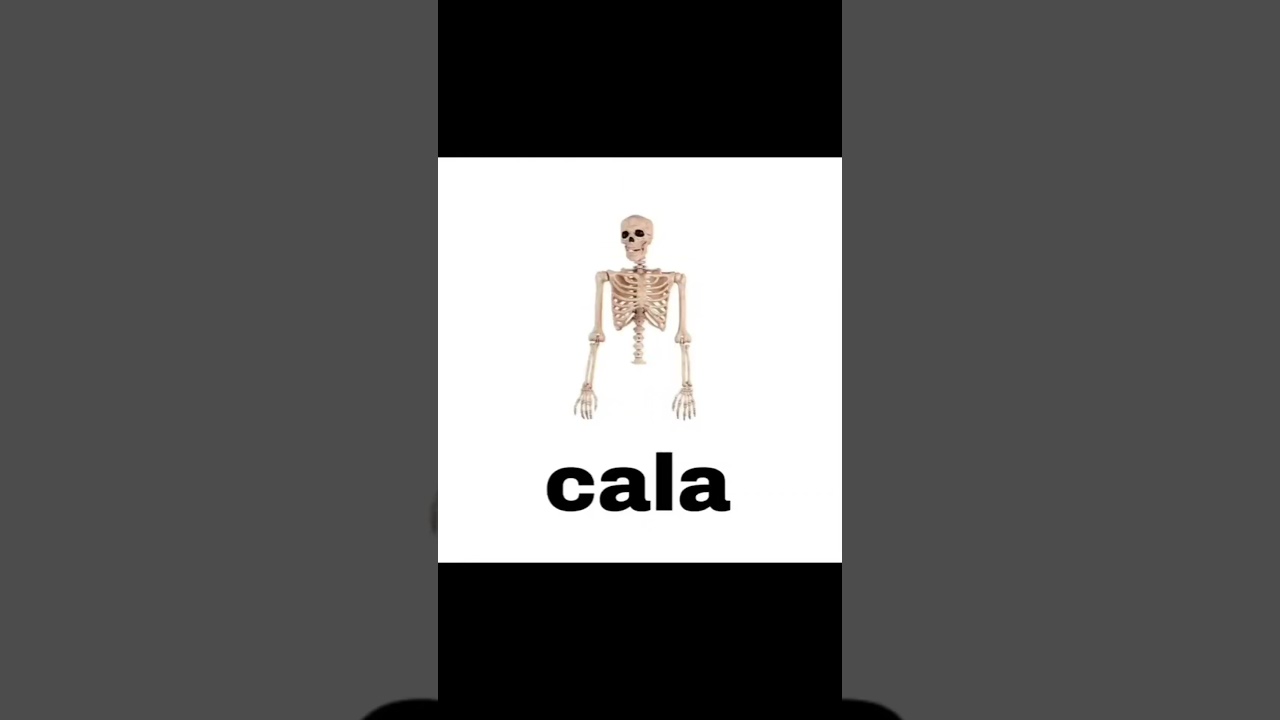 CALACA