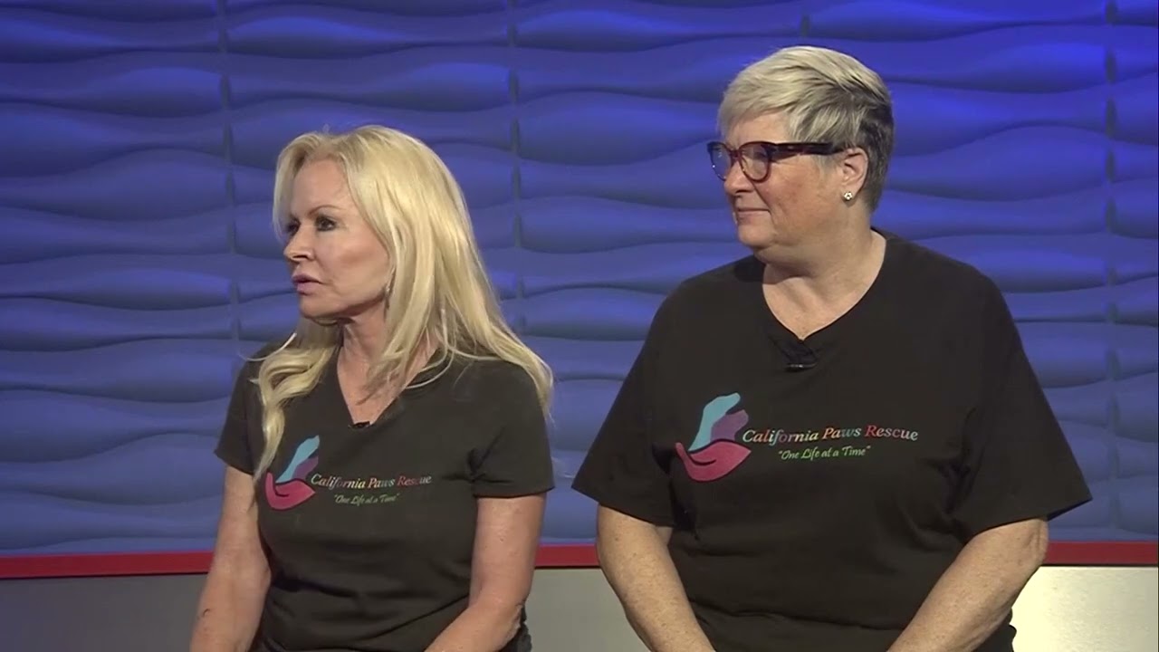 California Paws Rescue discusses their dedication to provide a safe place for abandoned pets