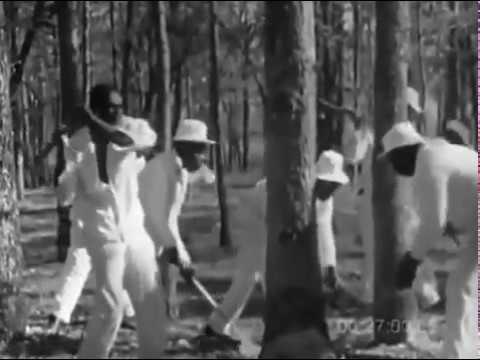 Call & Response. Work song - Prision song (1966)