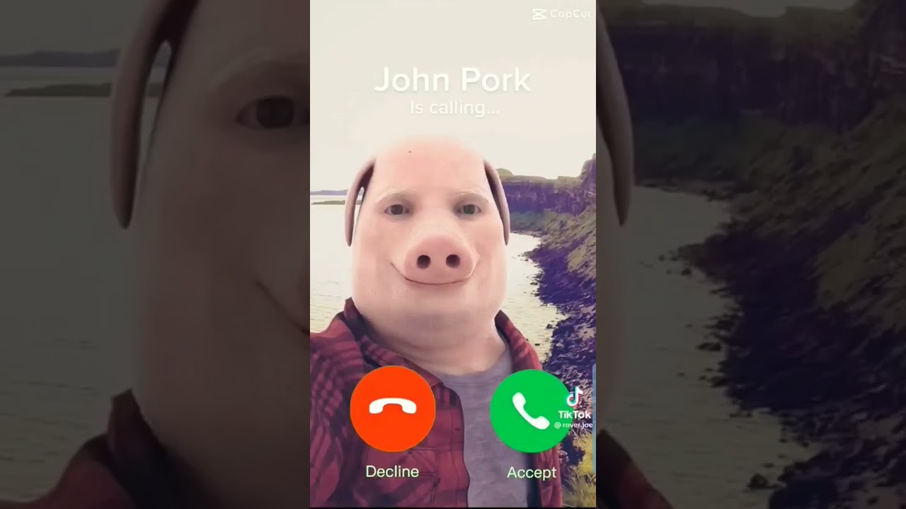 call johnnnn pork #pigs #shorts