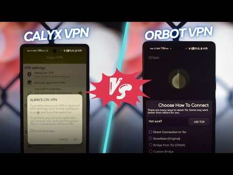 Calyx or Orbot: Which VPN Should You Choose?