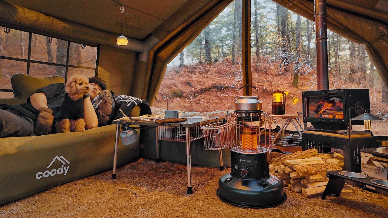 Camping in Forest with My Dog . Roast Fish in the Wild . Wood Stove ASMR
