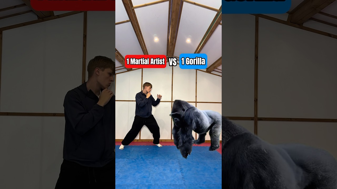 Can a martial artist beat a gorilla?