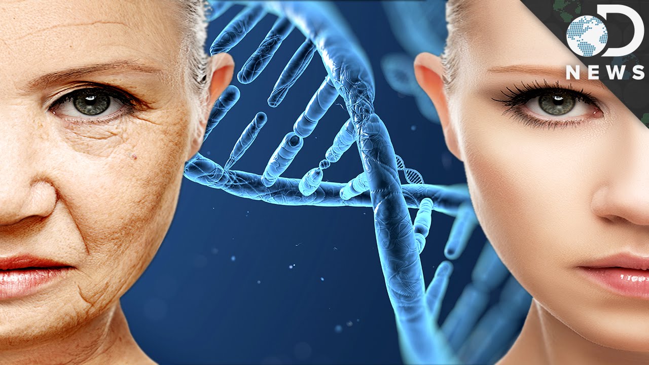 Can This DNA Hack Help You Stay Young Forever?