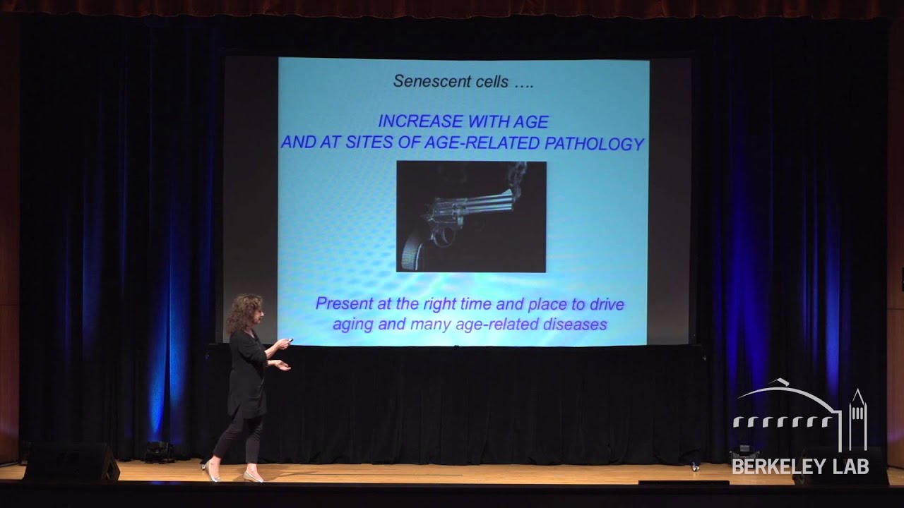 Cancer and Aging