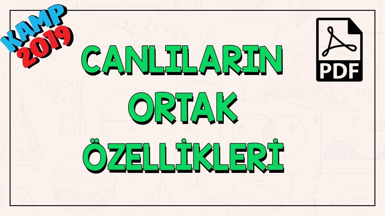 Canlıların Ortak Özellikleri