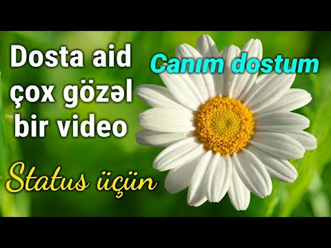 Canım dostum - Dosta aid çox gözəl bir video (Status üçün)