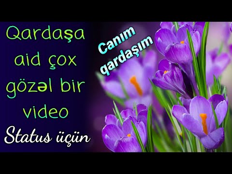 Canım qardaşım - Qardaşa aid super video status üçün (Qardaş üçün ən gözəl hədiyyə)