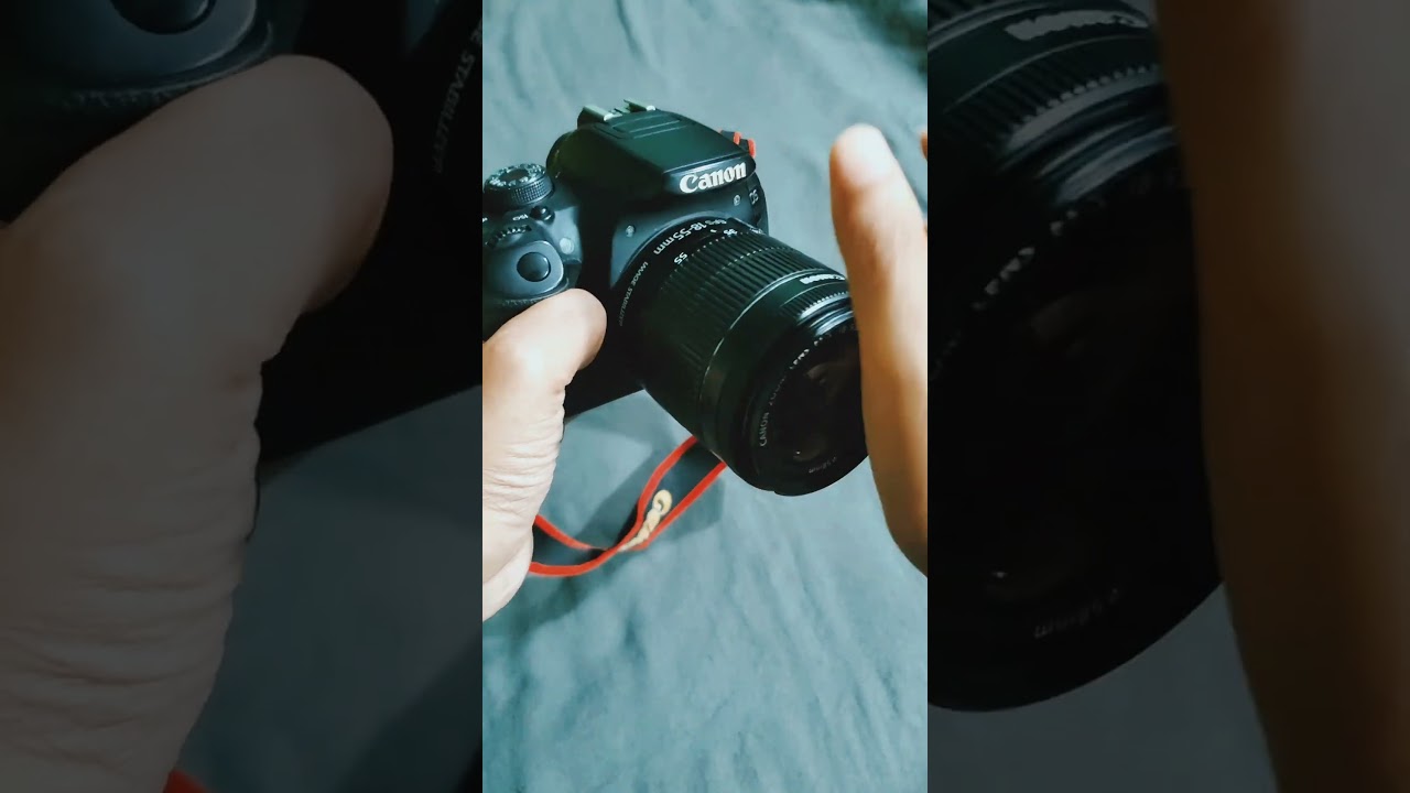 Canon 700D 18-55mm Photography #canon700d #canonphotography #canondslr #photography