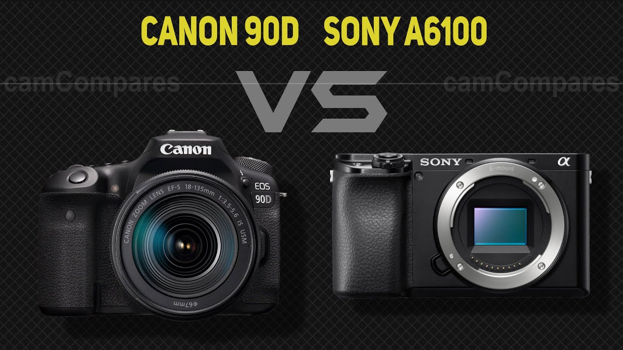Canon 90D vs Sony A6100  [Camera Battle]