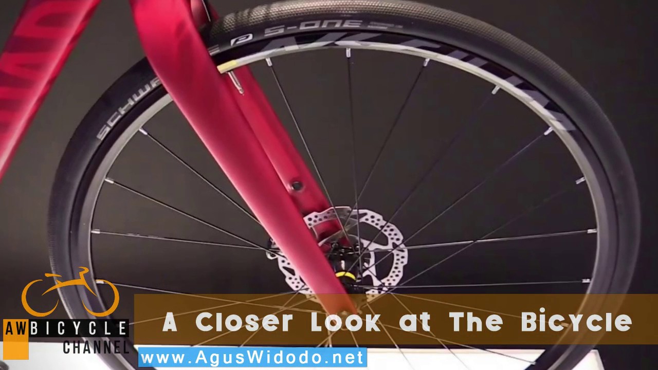 Canyon Roadlite AL 5 0 WMN Training Bike 2017 Give Review for 2018 2019 2020 Inspiration New Bike