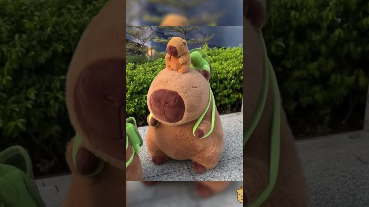 Capybara Stuffed Animals for Every Capybara Enthusiast or Plushie Fan  #linkinbio