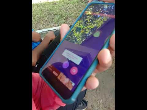 cara cara ngejas awek litmatch by san ulala