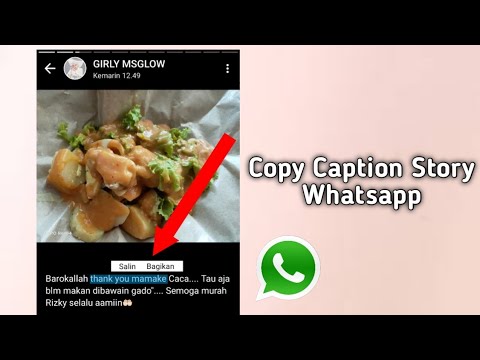 Cara Copy Caption Di Status WhatsApp