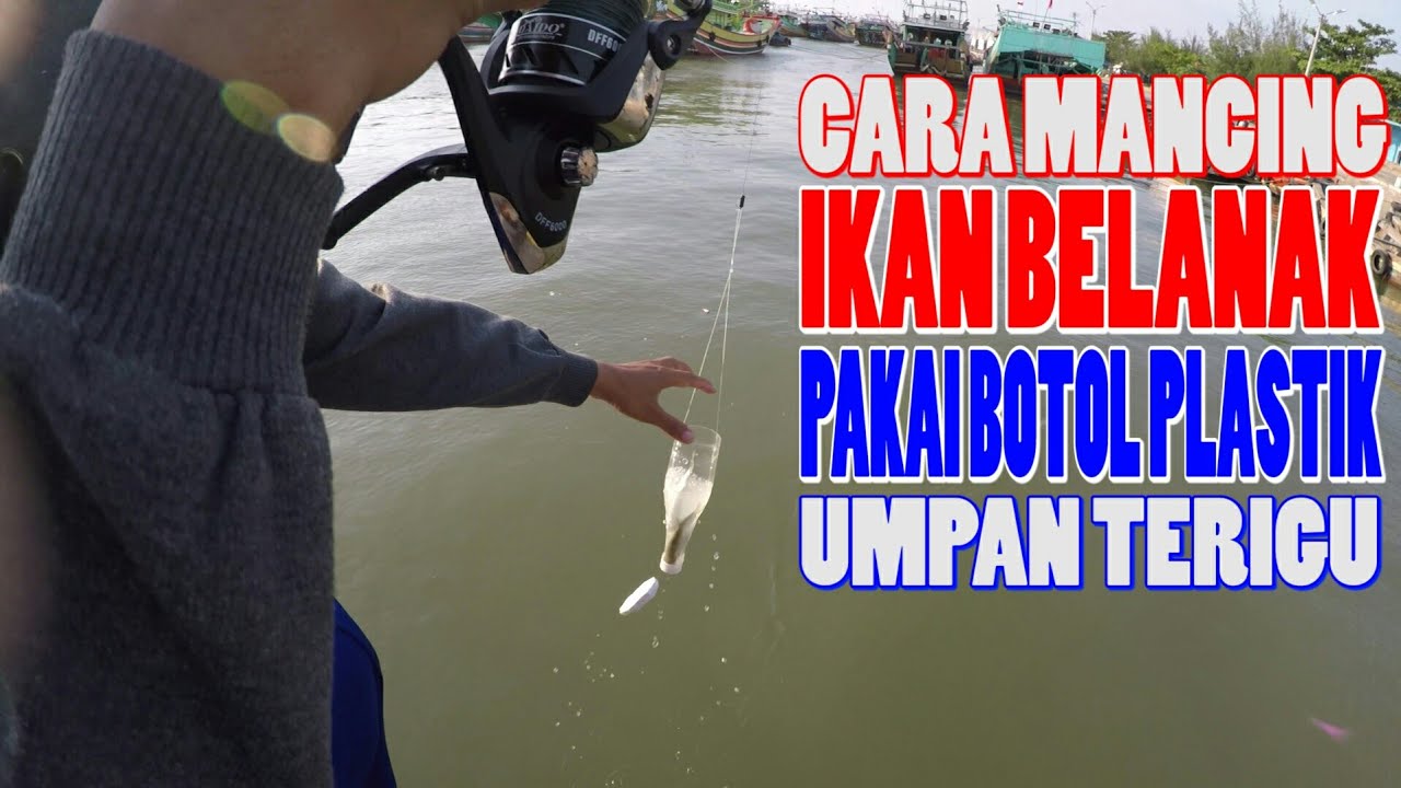 Cara Mancing Ikan Belanak Pakai Botol Umpan Tepung Terigu