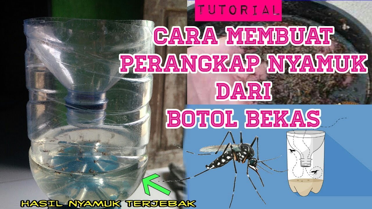 Cara Membuat Perangkap Nyamuk Dari Botol Bekas