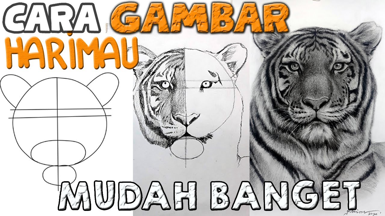 CARA MENGGAMBAR HARIMAU dengan GARIS BANTU SUPER MUDAH