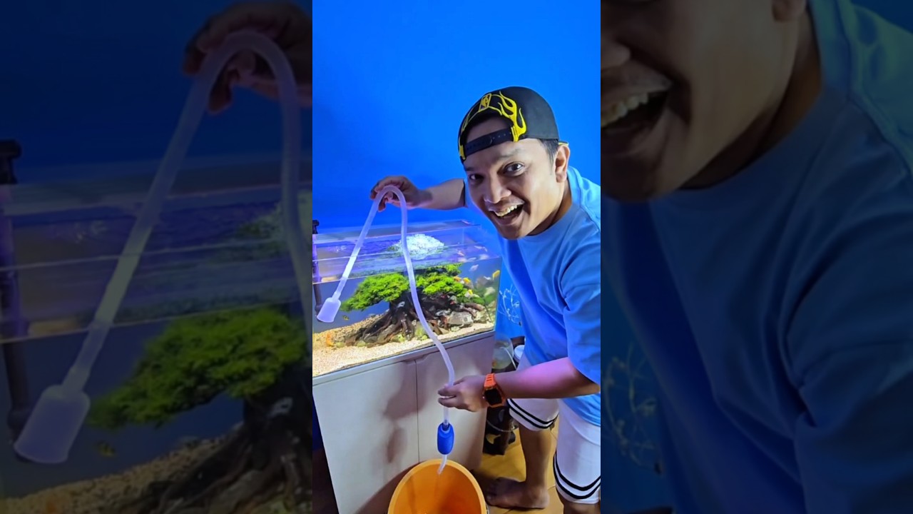 Cara Mudah Nguras Air Aquarium