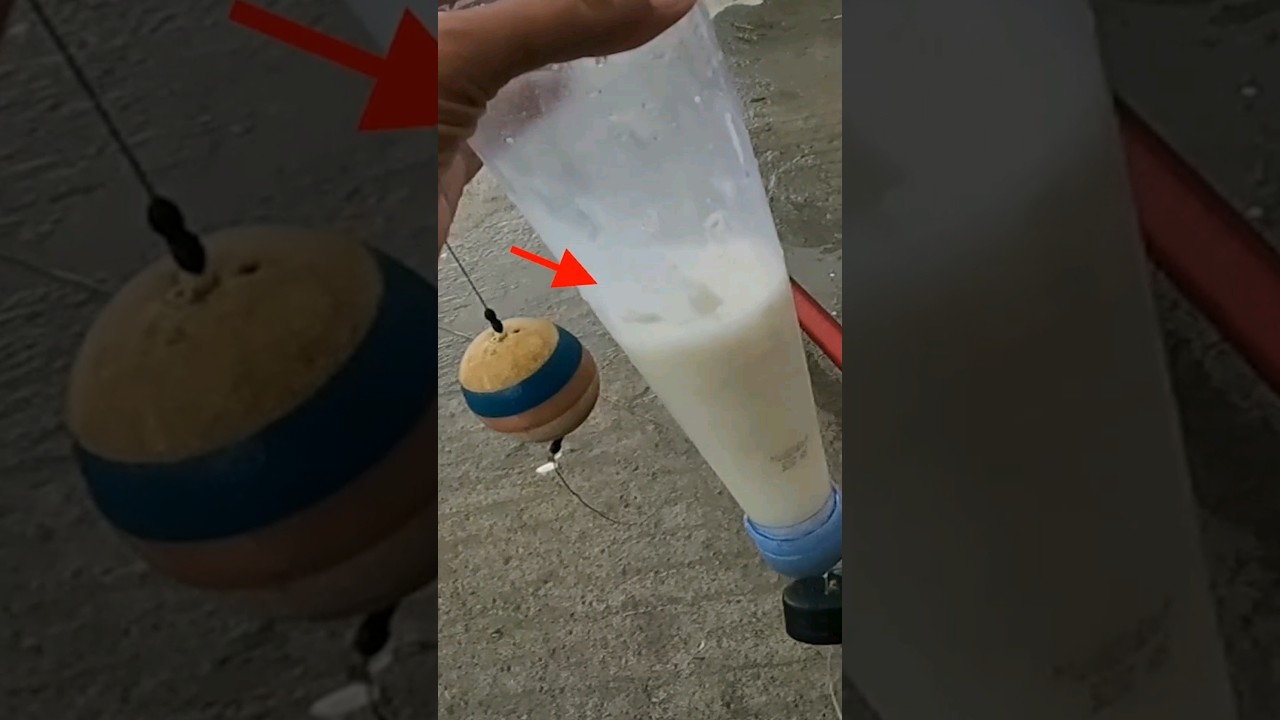 Cara Pasang Umpan Tepung Di Botol Utk Mancing Belanak #mulletfishing #mancing