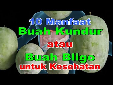 Cari Tahu Disini 10 Manfaat Buah Kundur atau Buah Bligo untuk Kesehatan Tubuh #manfaatbuahbuahbligo