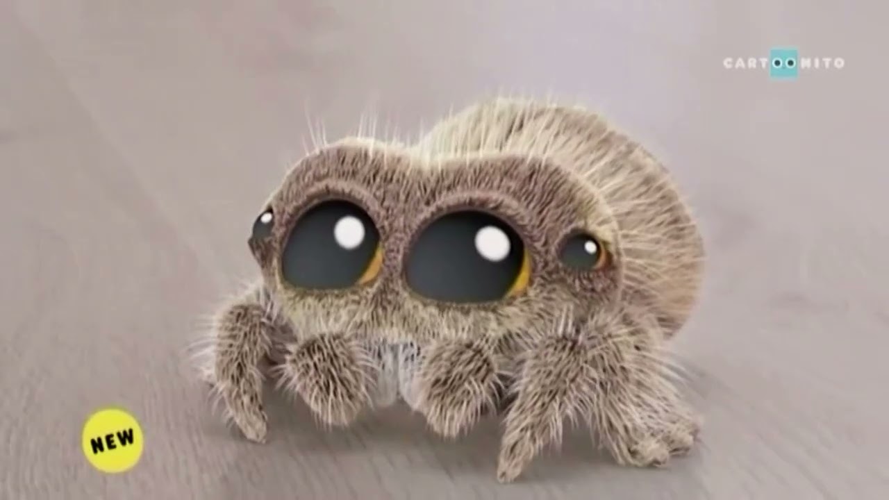 Cartoonito UK Lucas The Spider New Show Promo