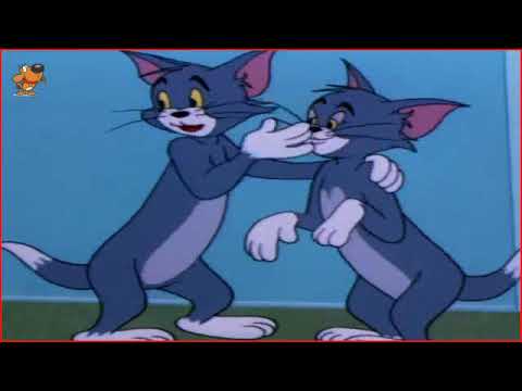 Cartoons For Kids   Tom and Jerry Episode 106   Timid Tabby Part 2