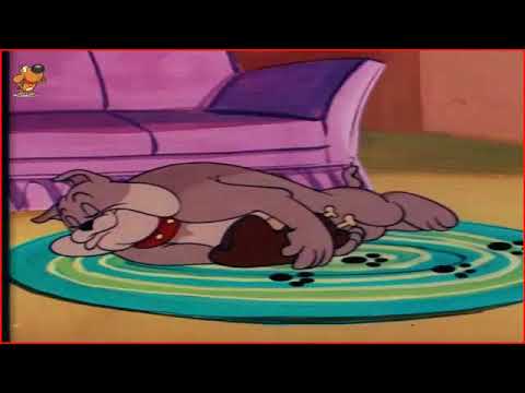 Cartoons For Kids   Tom and Jerry Episode 109   Tom's Photo Finish Part 1