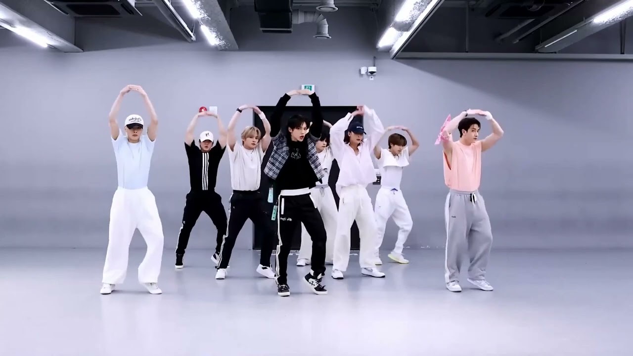CASE 143 - Stray Kids [Mirrored Chorus]