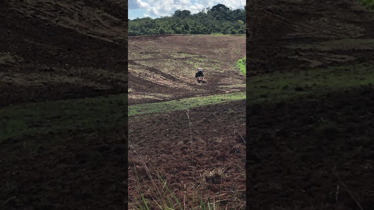 Case IH 180 com grade aradora, tentando subir o morro