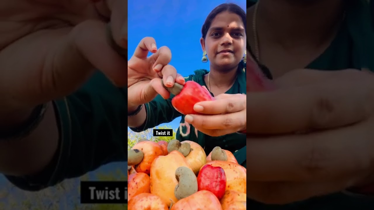 Cashew | cashew fruit | #cashewnuts   #cashewfruit  cashew, #cashew  #cashews #cashewapple