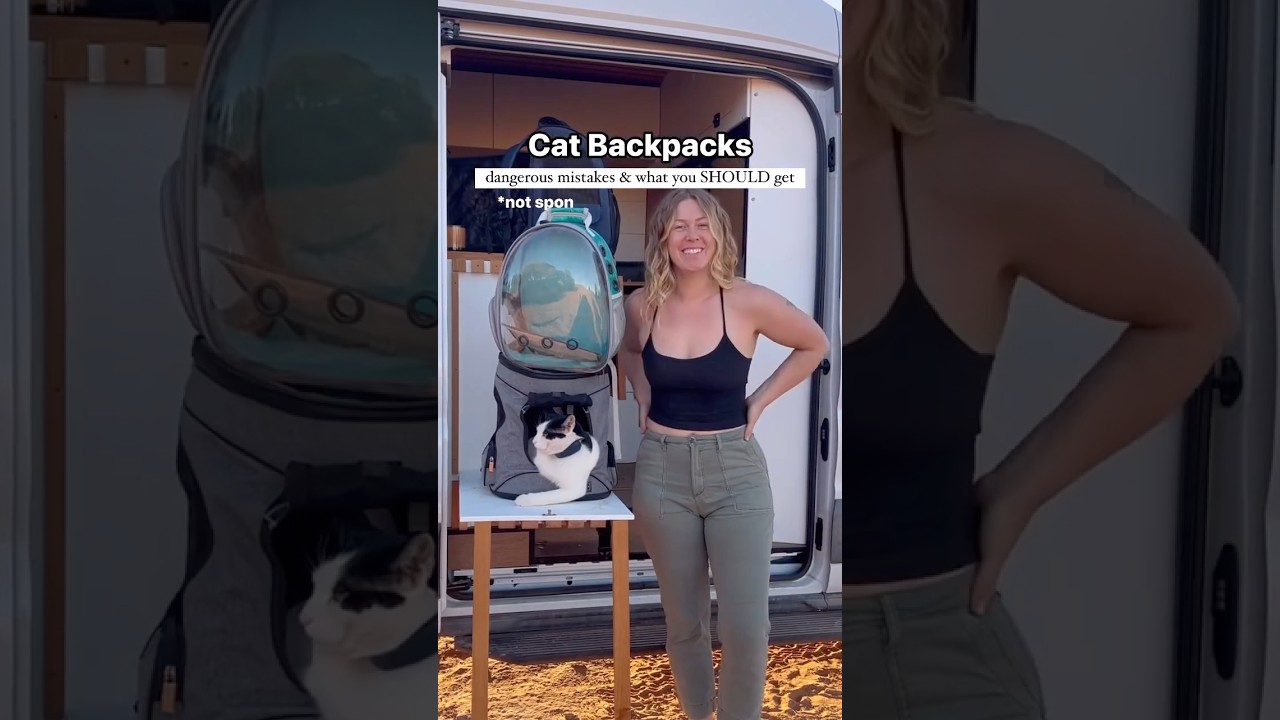 Cat Backpack Review: please watch this before you buy your pet a backpack!