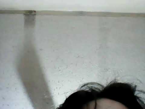 Cat face fart 2